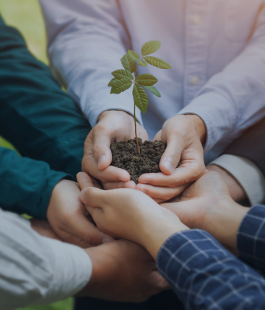 APL生态相助同伴妄想